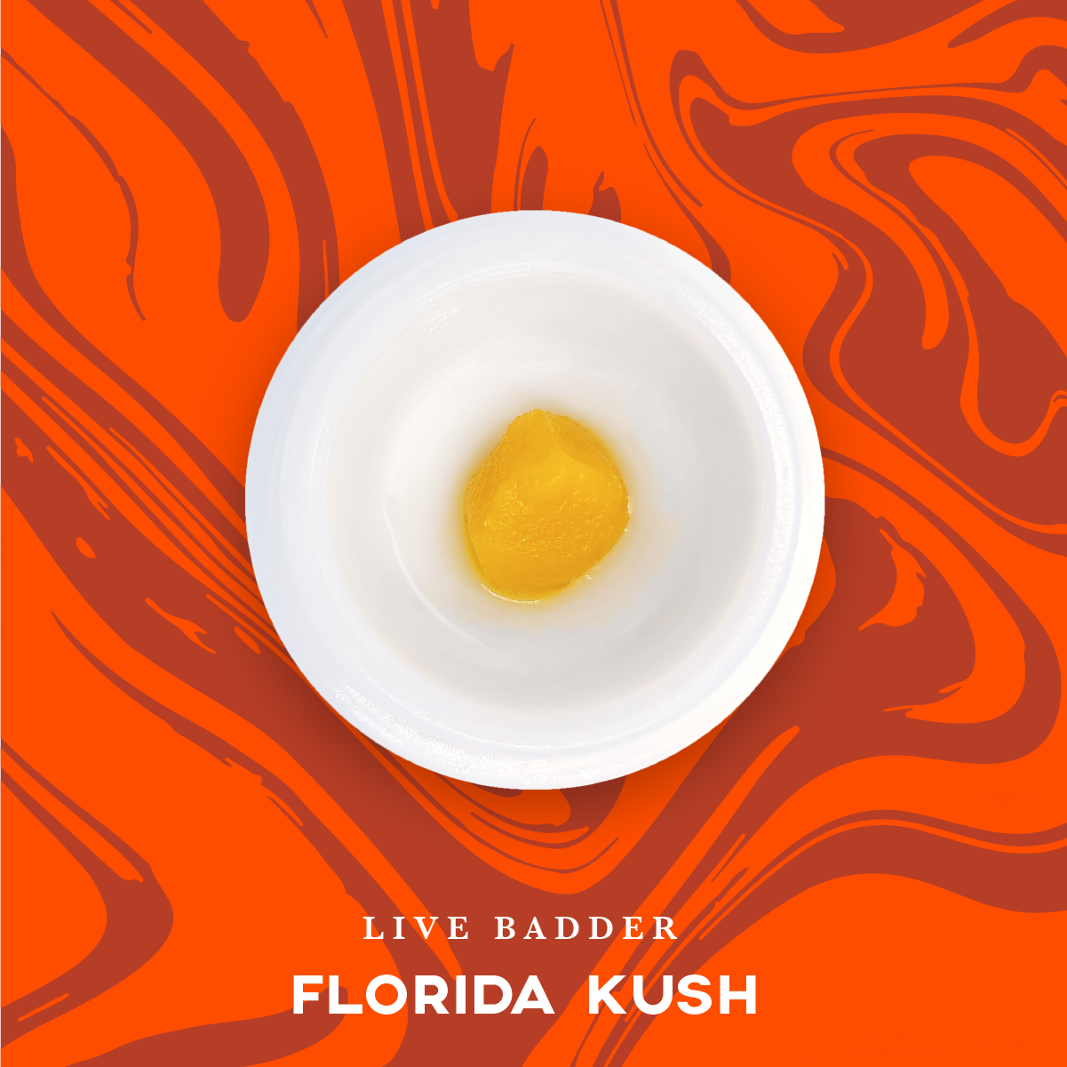 Photograph of product: VIVID - BADDER LIVE - 1G - FLORIDA KUSH - Oui'd