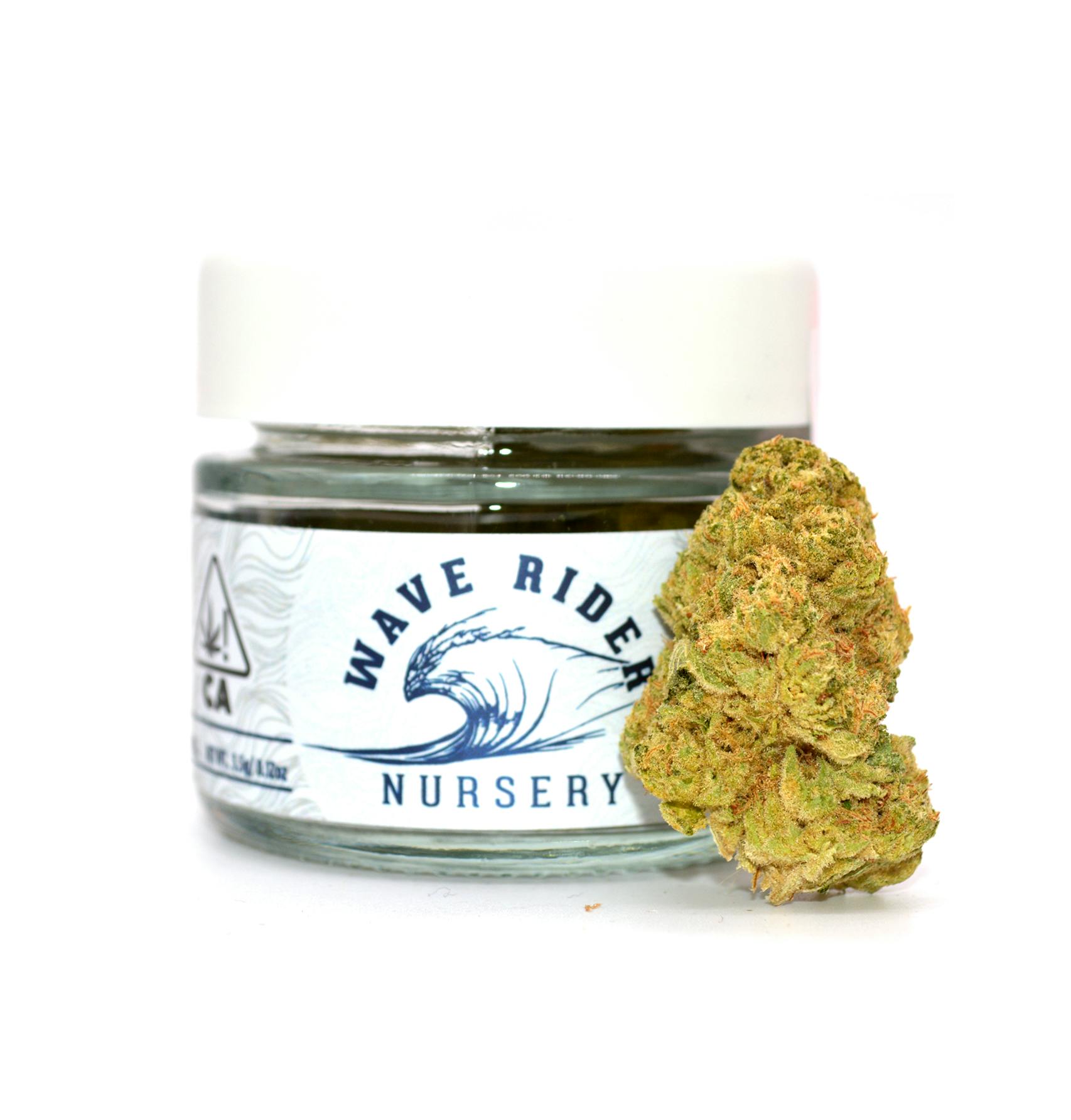 Photograph of product: Wave Rider Nursery - Gary Payton 3.5g