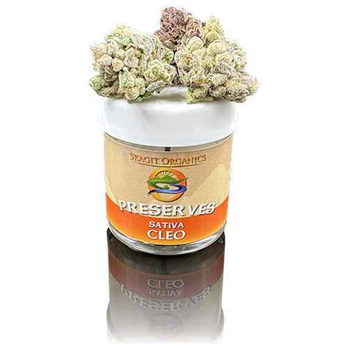 Photograph of product: Cleo (DOH) - 7g