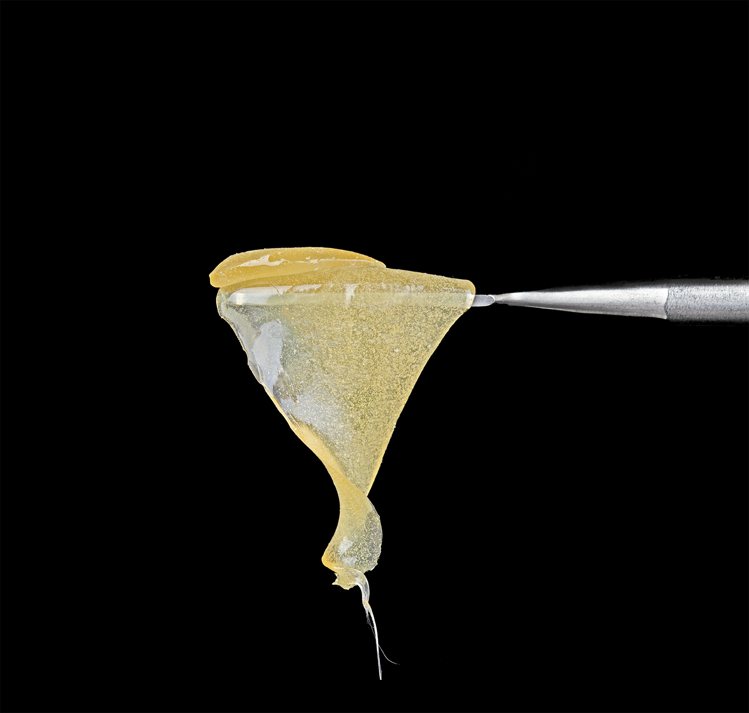 Photograph of product: Lazercat - Premo Live Rosin - Black Morel