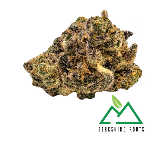 Photograph of product: Berkshire Roots Tropicanna Banana (S) Flower 3.5g