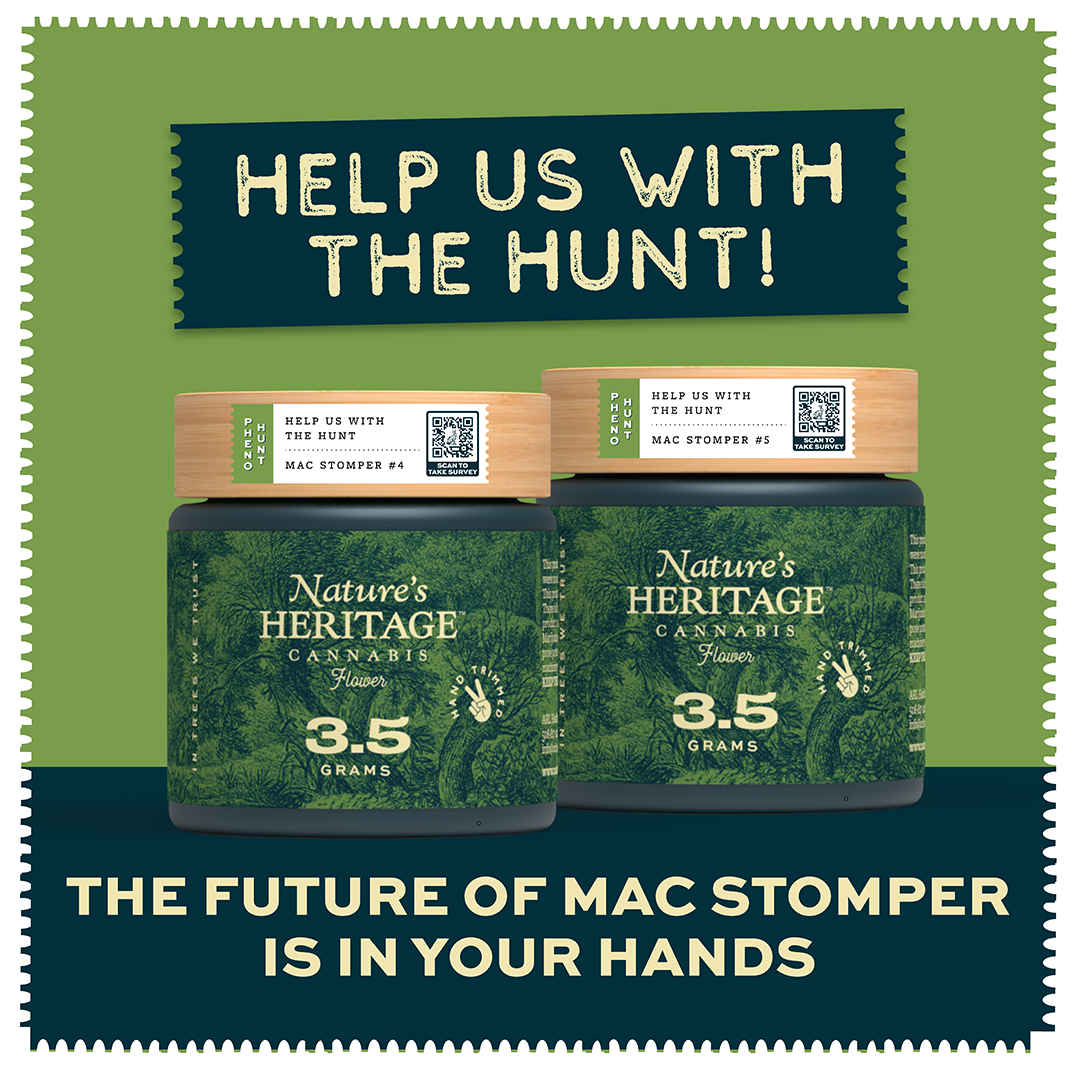 Photograph of product: MAC Stomper Pheno Hunt Get $20 Gift Card from Nature's Heritage - 7g