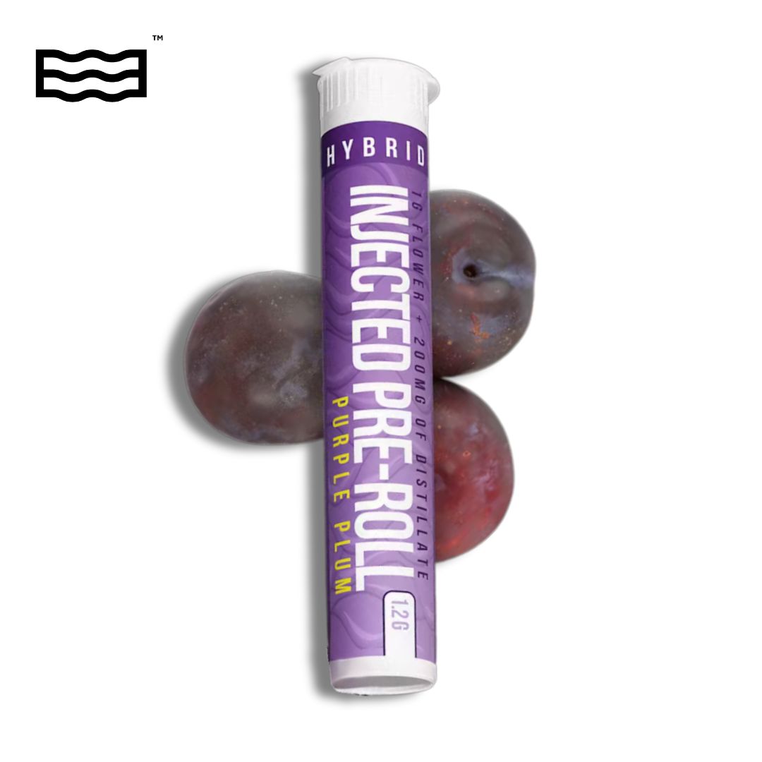 Photograph of product: Distro 10 Infused Preroll | Purple Plum