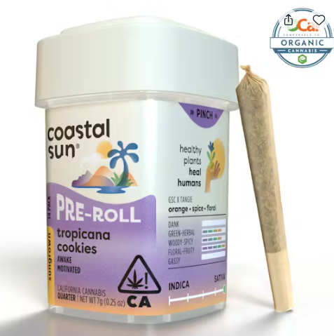 Photograph of product: Coastal Sun Greenhouse Preroll 14pk 7g - Tropicana Cookies (S)