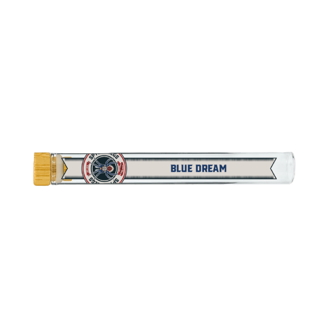 Photograph of product: Spyder Legs - 1.25g Rosin Pre-Roll - Blue Dream