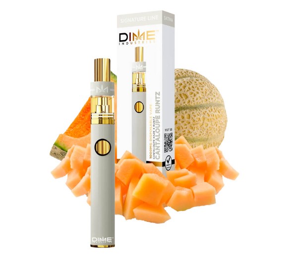 Photograph of product: Cantaloupe Dream | 2g Disposable