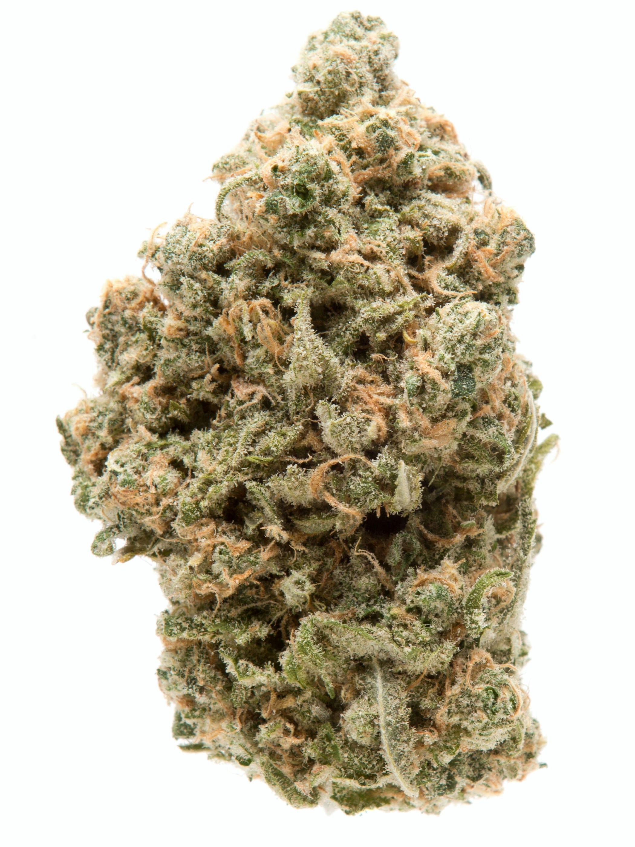 Photograph of product: Coco Nibz - 