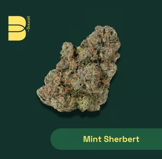 Photograph of product: THE BOTANIST MINT SHERBERT 1PK PRE-ROLL 1G