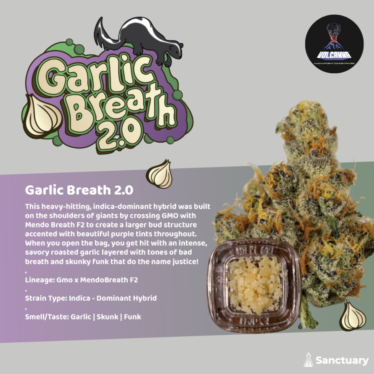 Photograph of product: Garlic Breath | Crumble | Baller Jar I 4.2G