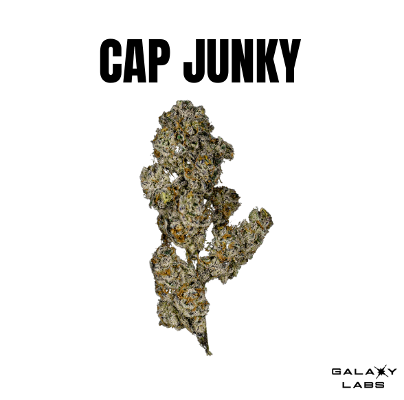 Photograph of product: Cap Junky | 3.5g