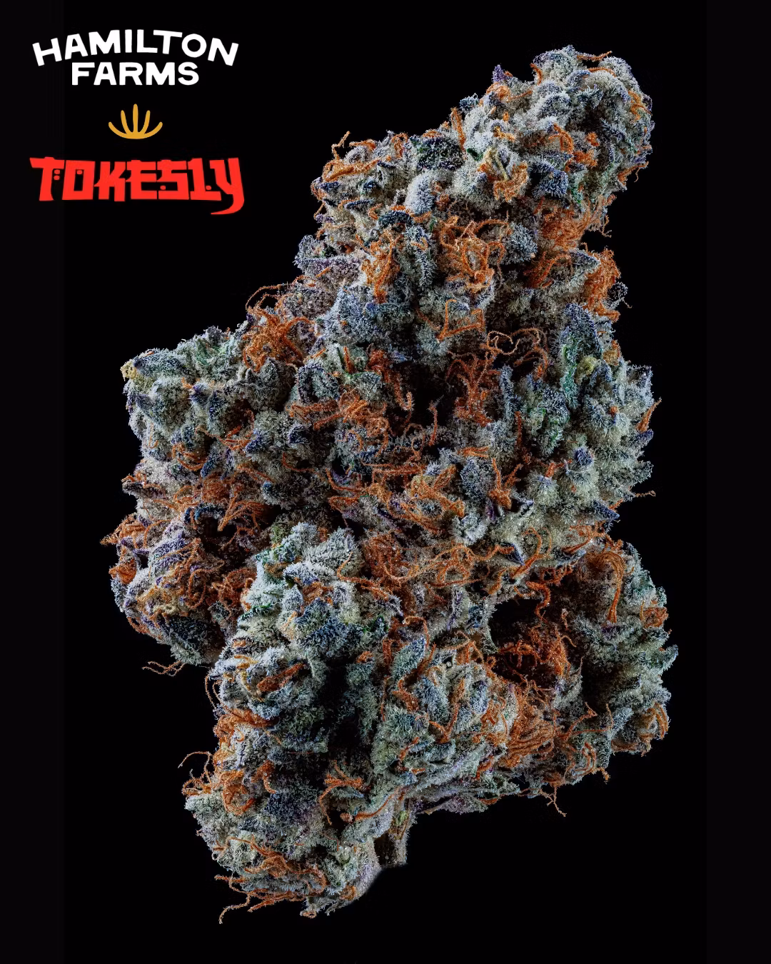 Photograph of product: Tokesly | Dante's Garden - 3.5g