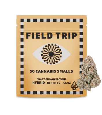 Photograph of product: Field Trip 5g Melonade