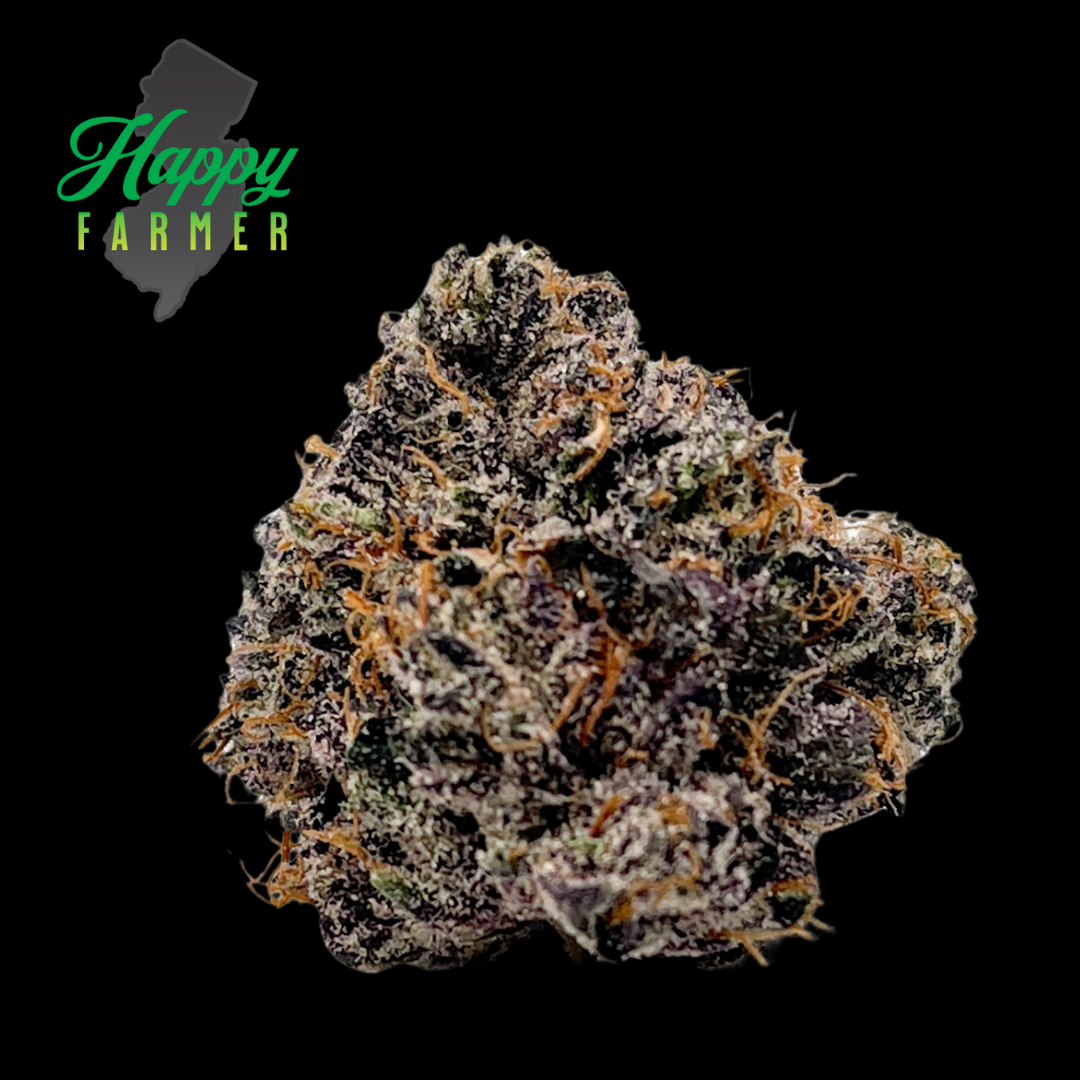 Photograph of product: HF Boston Runtz - 3.5g