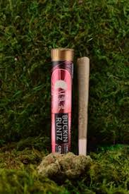 Photograph of product: Golden Garden / Pre-Roll / Buckin Runtz