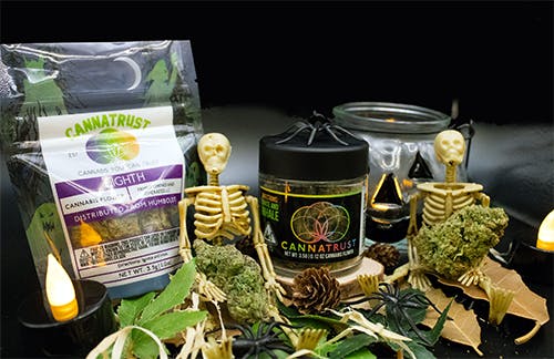 Photograph of product: CANNA TRUST | GREEN APPLE GAS | 3.5g | 19.67% TH-oui | Oui'd |