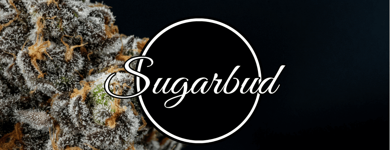 Photograph of product: Sugarbud - Scouts Honor (HYBRID) - 28g