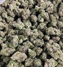 Photograph of product: Flower | Chem Runtz | Glorious Oui'd Co. - 1g