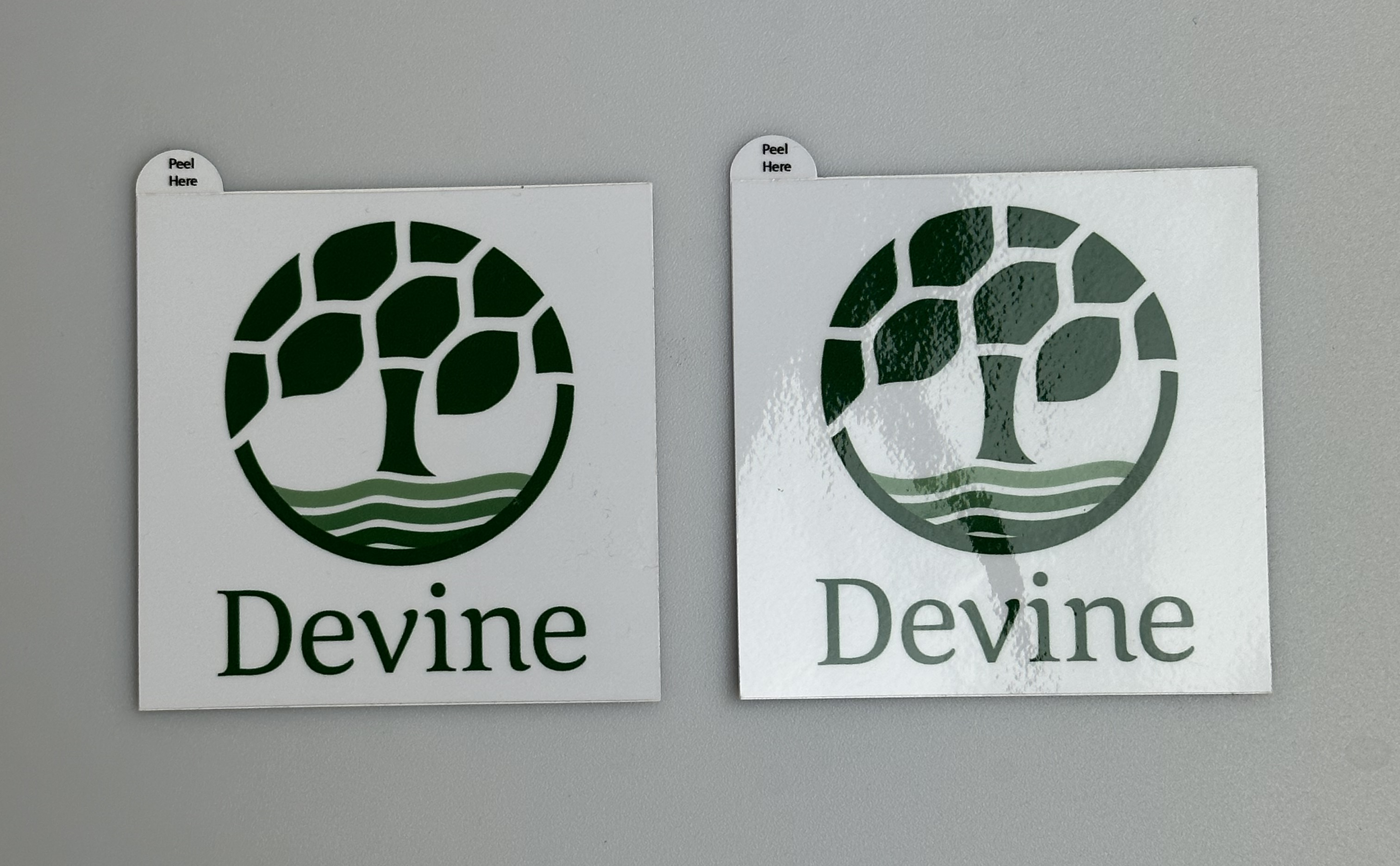 Photograph of product: Devine Square 3" Sticker