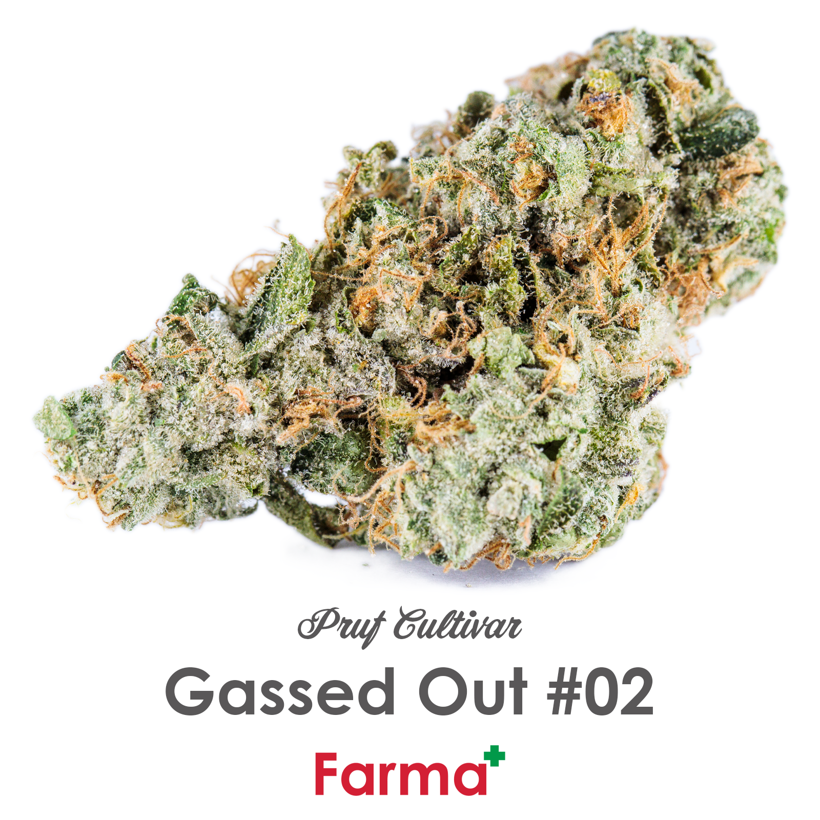 Photograph of product: Pruf Cultivar Gassed Out #02 | - 28g