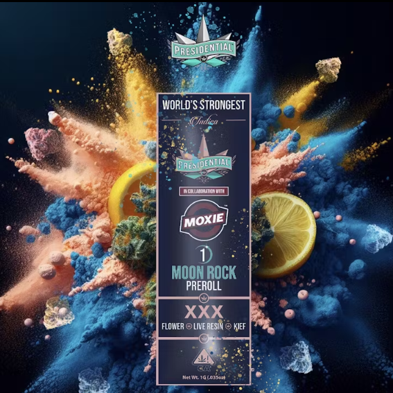 Photograph of product: Presidential Moon Rock XXX