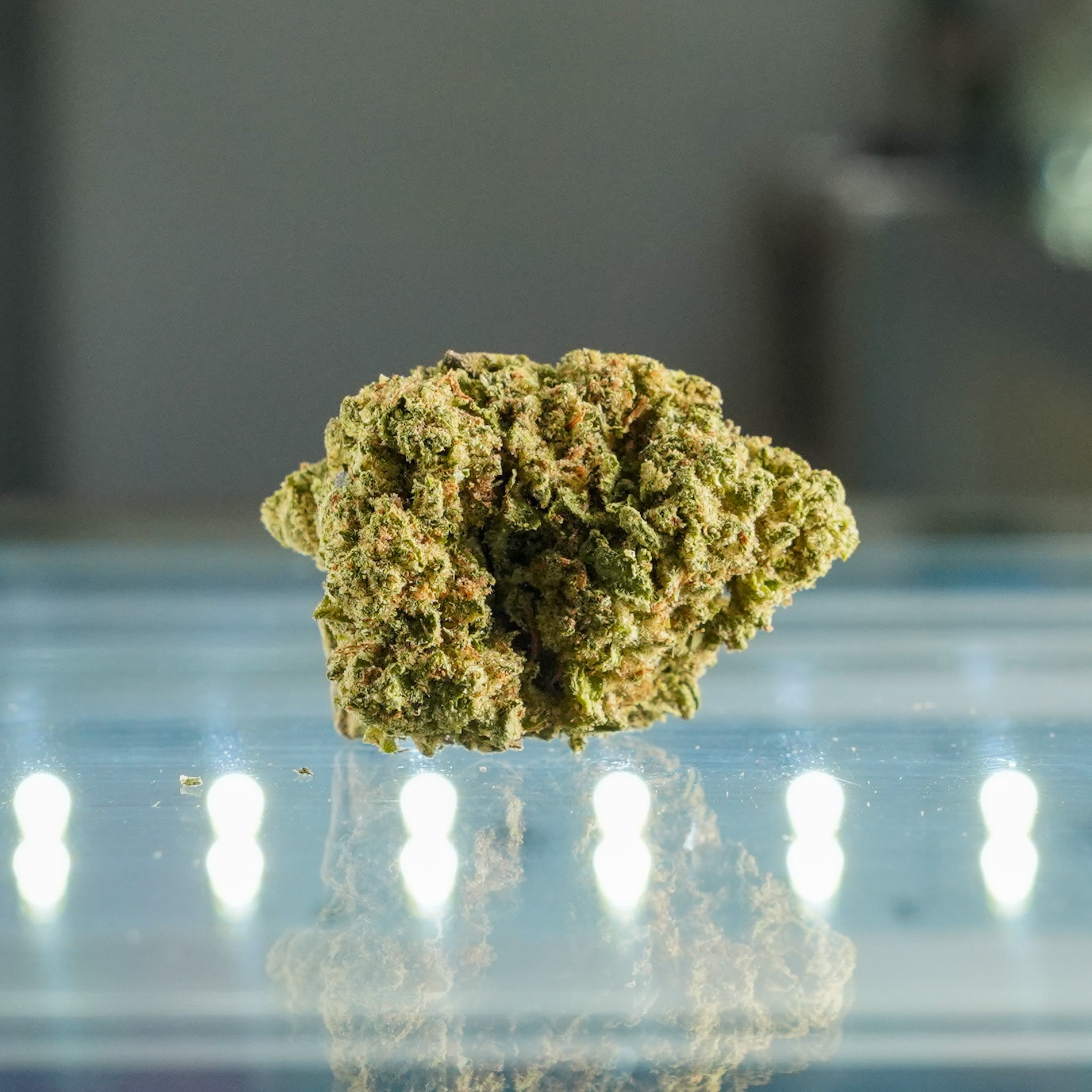 Photograph of product: Apple Fritter - Grown Rogue