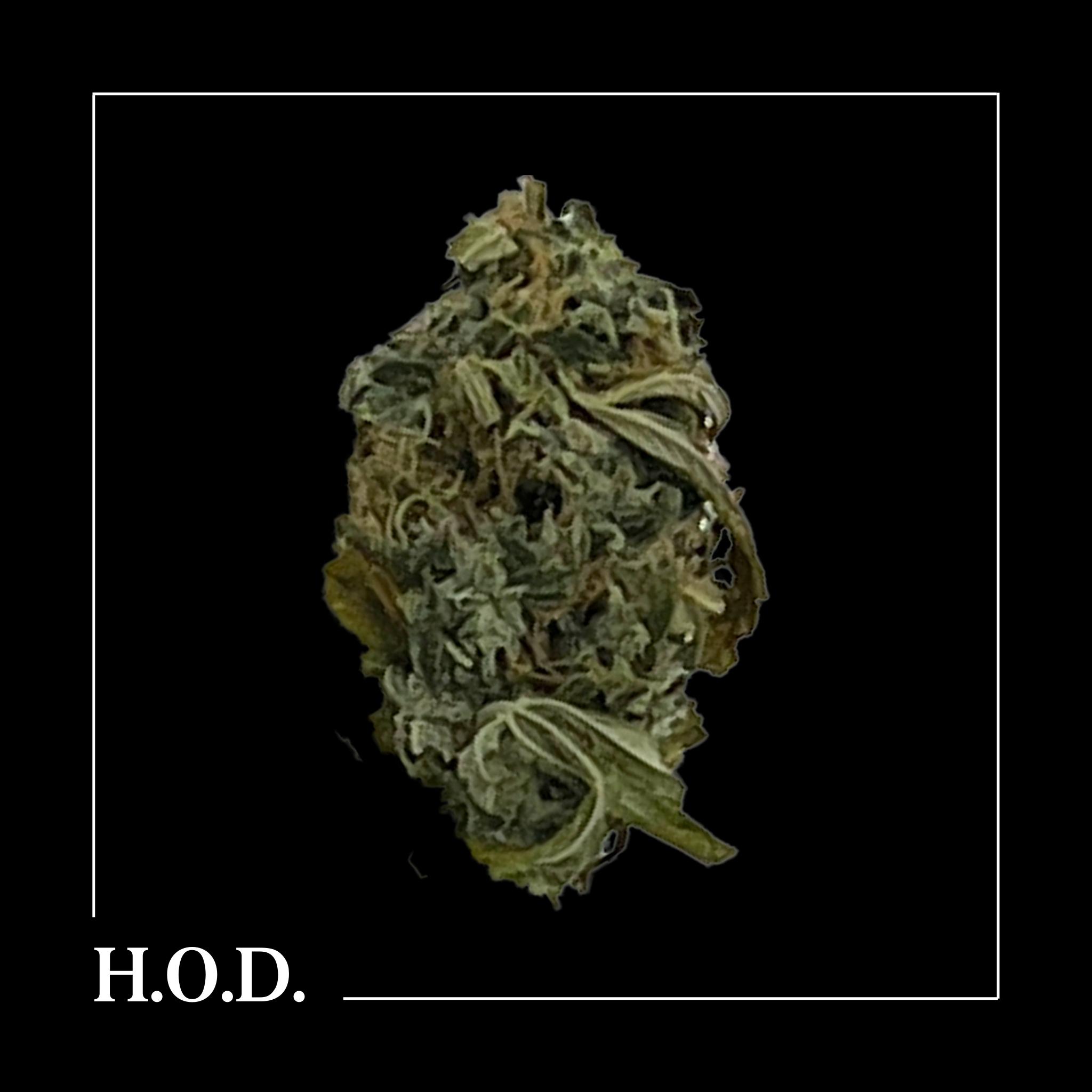 Photograph of product: Headband 28g