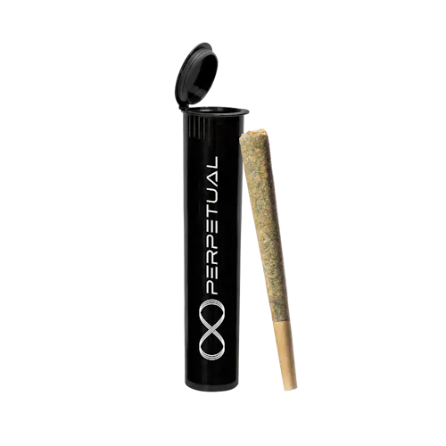 Photograph of product: Permanent Marker (I) - Pre-Roll (1g) - Perpetual