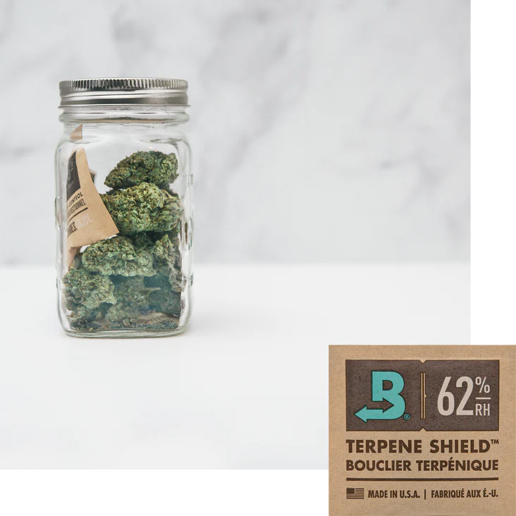 Photograph of product: BoVeda Humidity Packs | 8 Grams (62%RH)