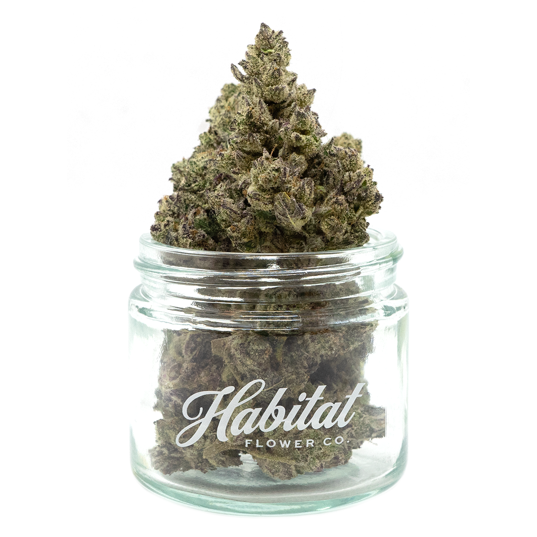 Photograph of Product: Agua De Jamaica - (DOH) - 3.5g