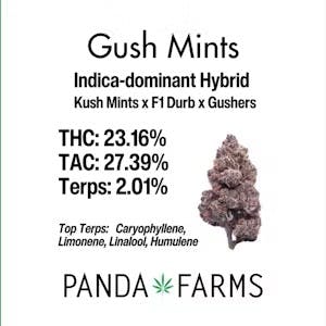 Photograph of product: GUSH MINTS 3.5G FLOWER