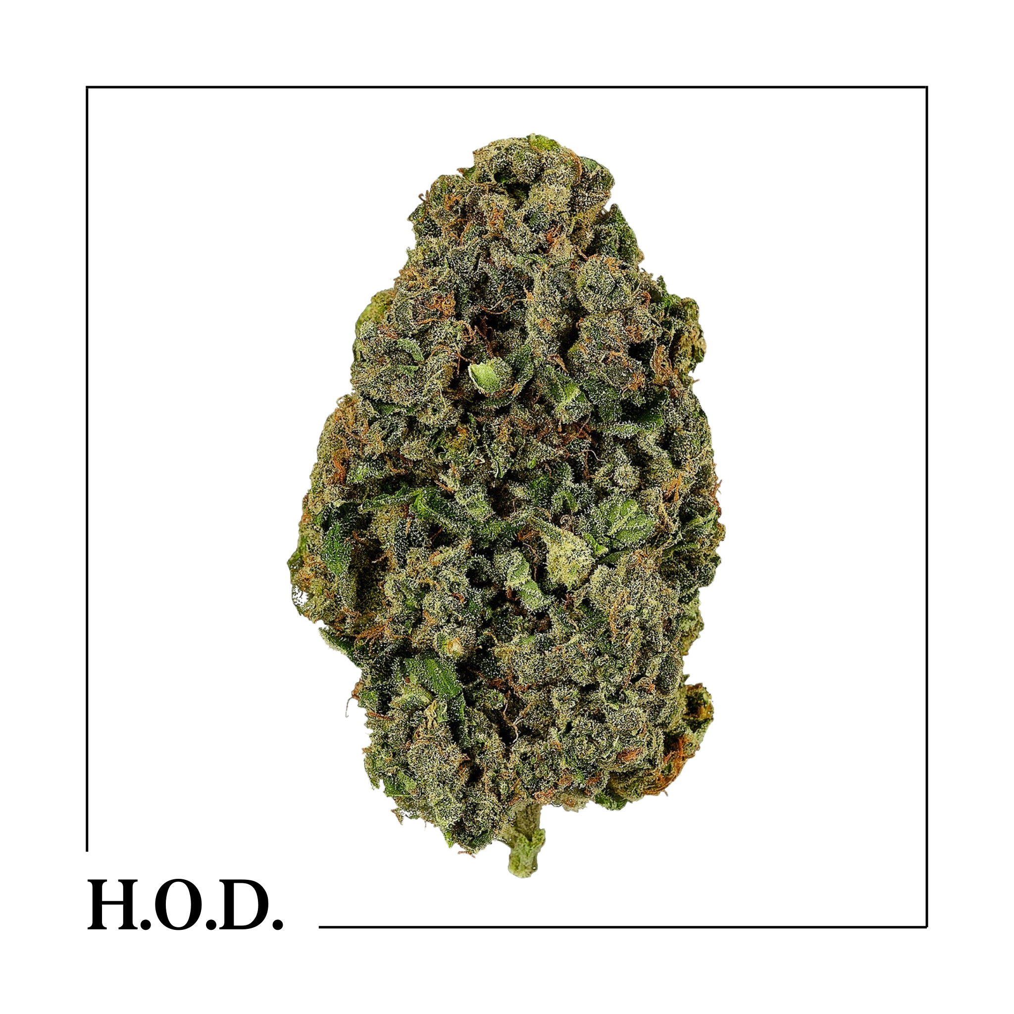 Photograph of product: Apple Mintz 28g