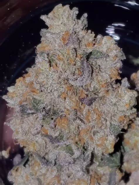 Photograph of product: Evergreen Cultivation - Dulce De Uva - Bulk Flower (I) - 32g