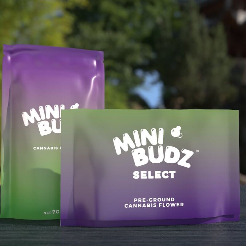 Photograph of product: MINI BUDZ Washington Apple 1/4 Shake - 7g