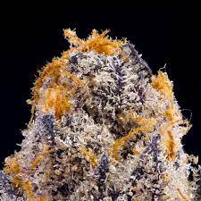 Photograph of product: Key Lime Jack - Half