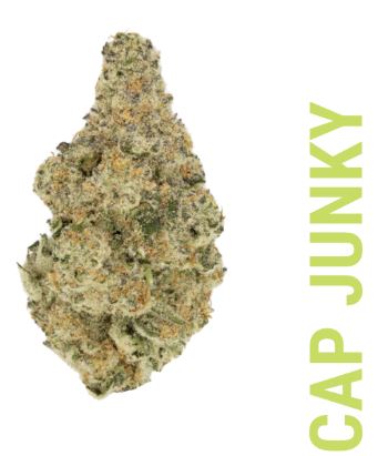 Photograph of product: Cap Junky - 3.5g