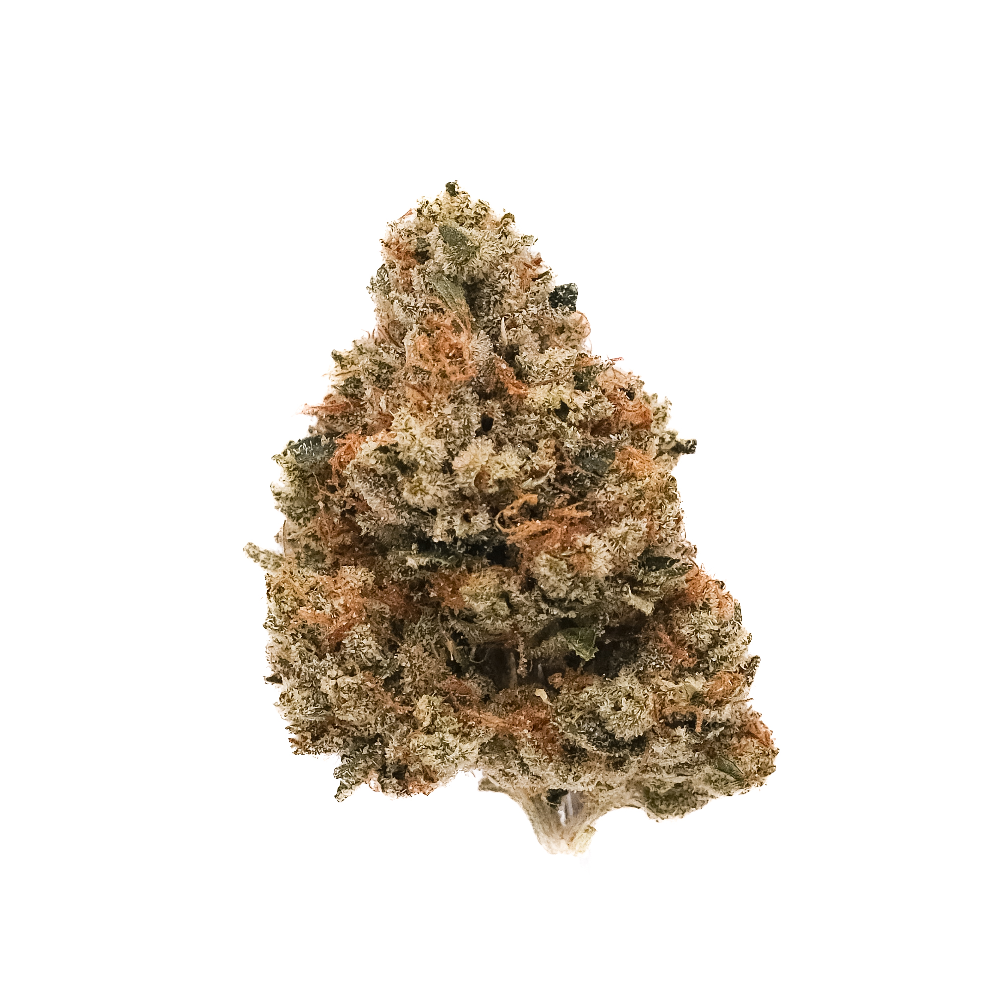 Photograph of product: King Louie | 1g Preroll | Flight Red Eye