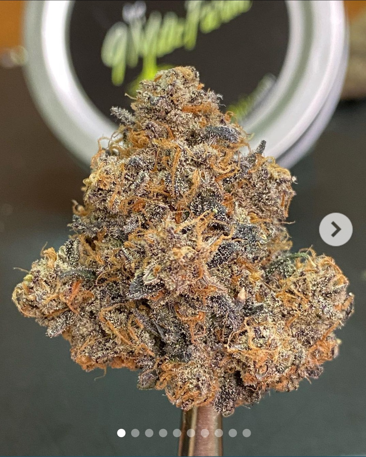 Photograph of product: Black Cherry Garlic B's by Thunder Farms
