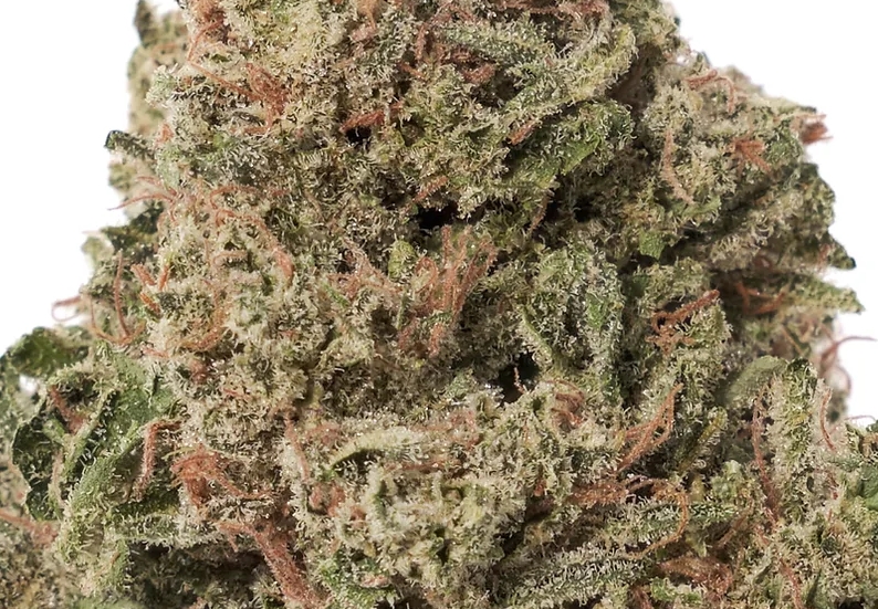 Photograph of product: Alchemy Pure infused Pre-Ground Flower | 14g | OG Kush