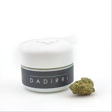 Photograph of product: Caviar Sunrocks- S/H