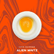 Photograph of product: Vivid Alien Mintz Live Badder | 1g