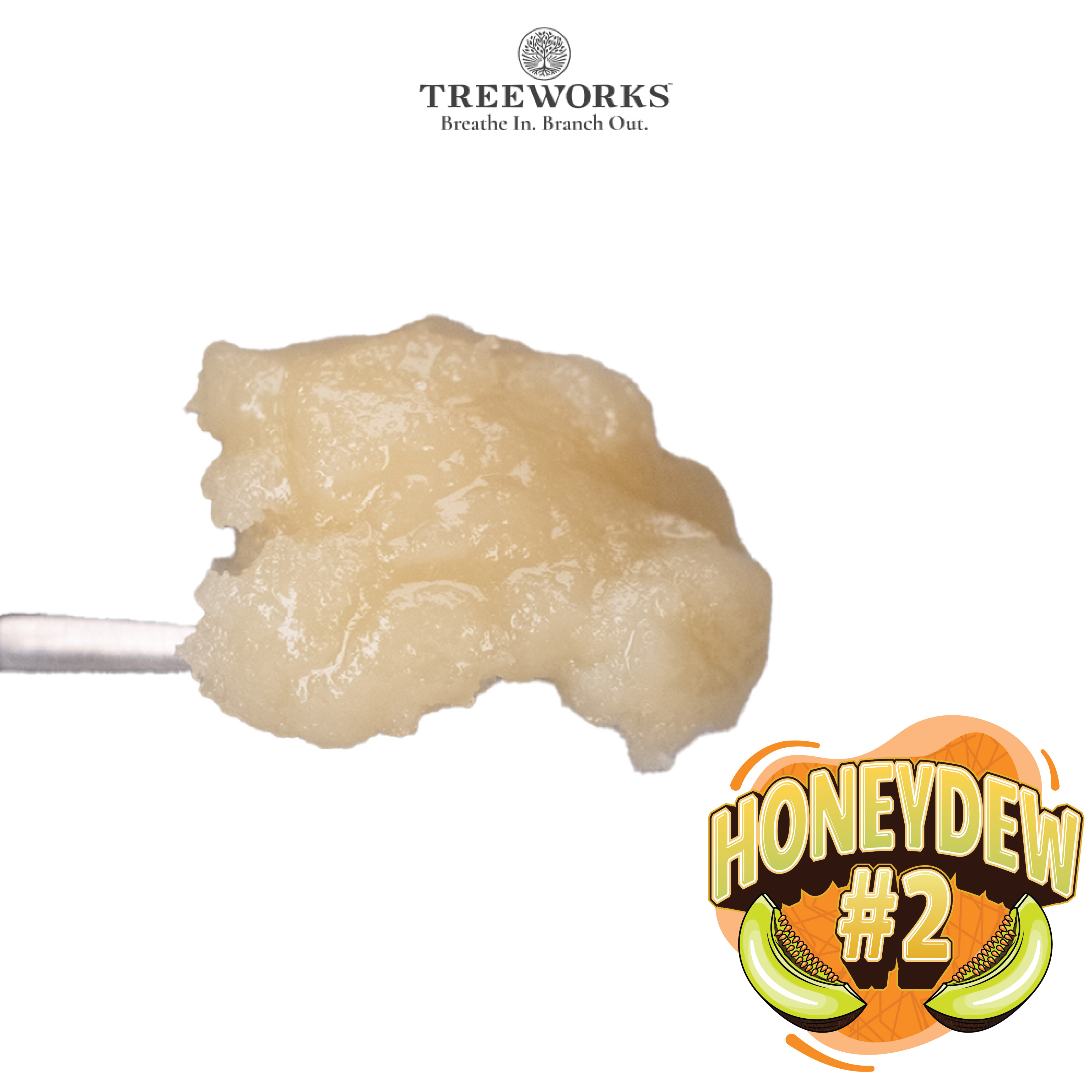 Photograph of product: Treeworks | 1g Live Rosin | Honeydew #2