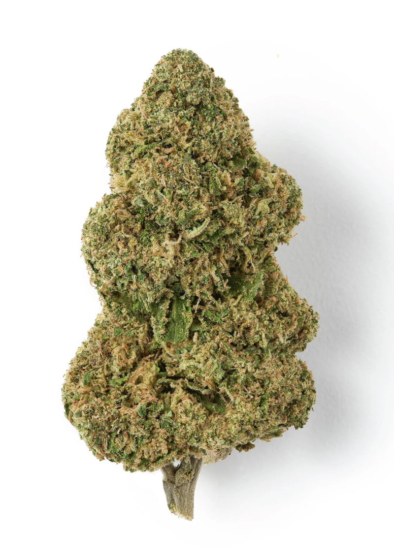 Photograph of product: East Fork Cultivars Candy Blossom - 28g