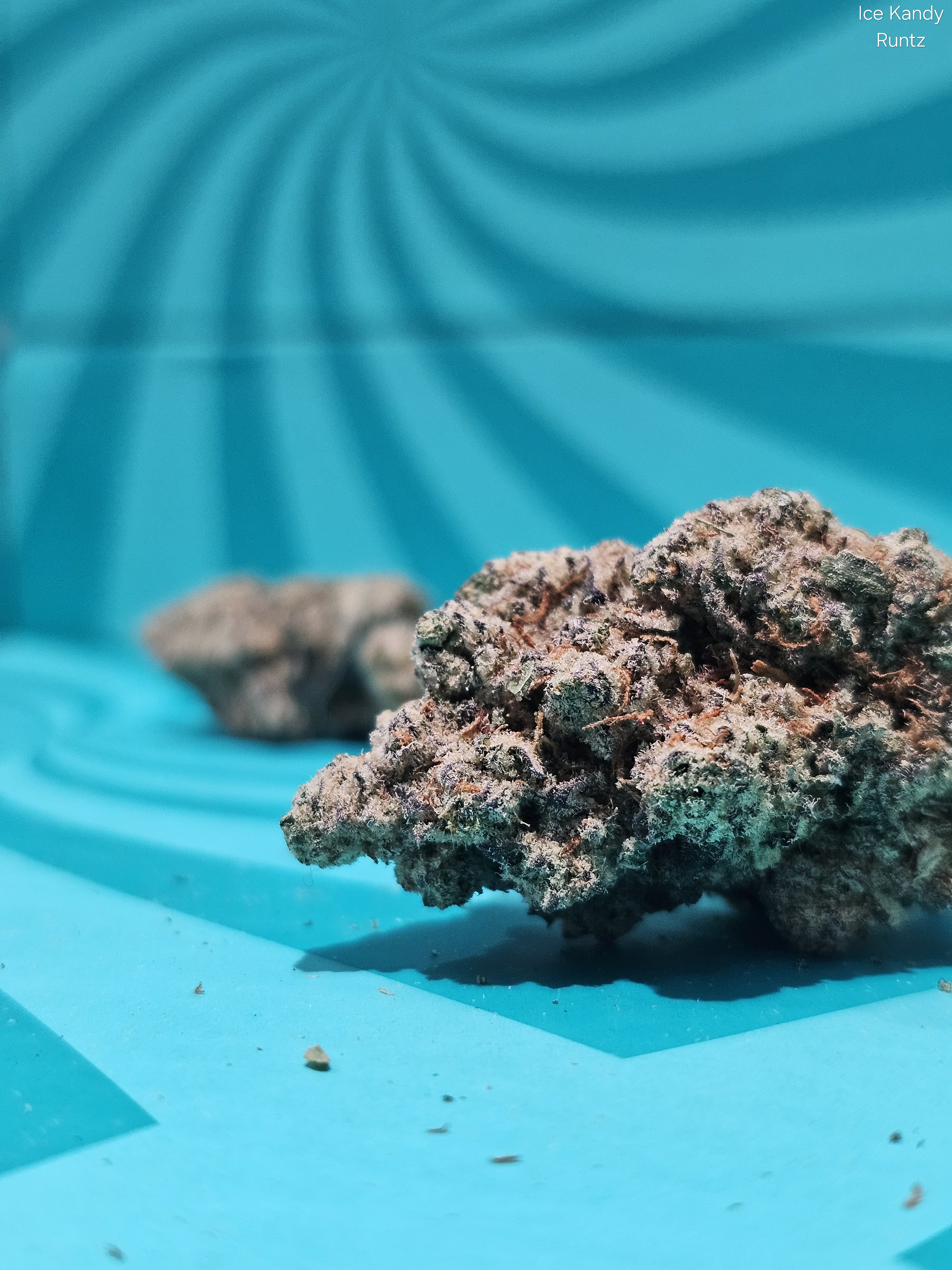 Photograph of product: Flower | REC - Ice Kandy Runtz - 28g