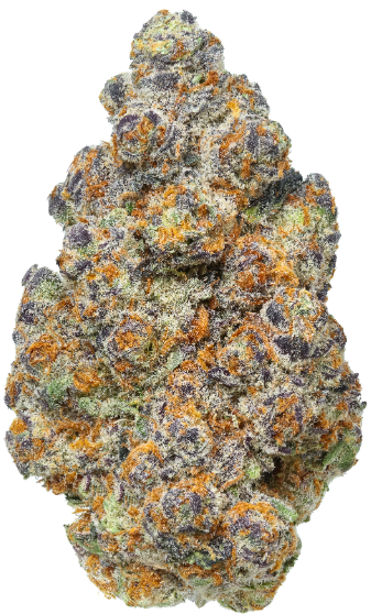 Photograph of product: Platinum Shelf - Astronaut Status (H) - 28g