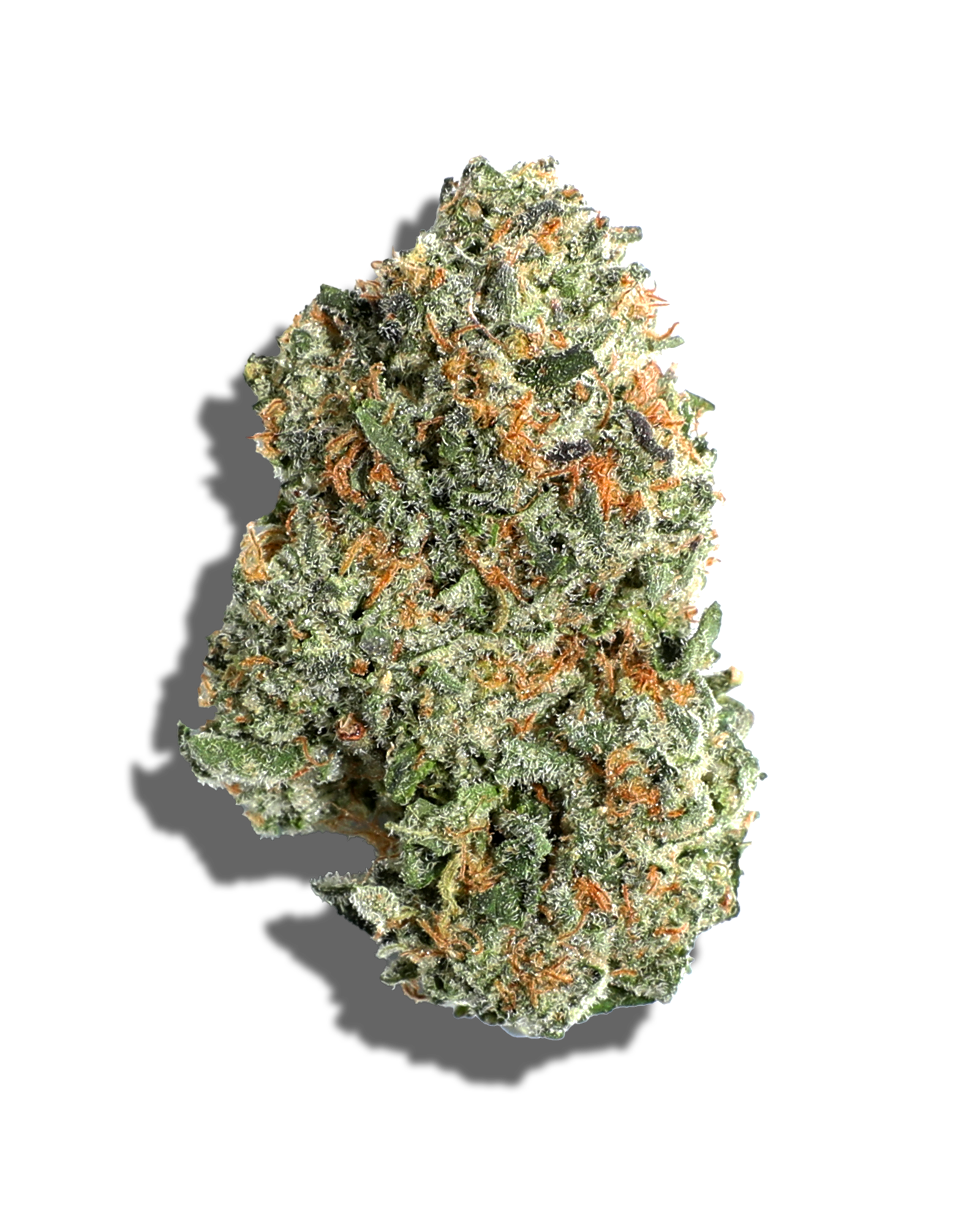 Photograph of product: Blicky 1oz