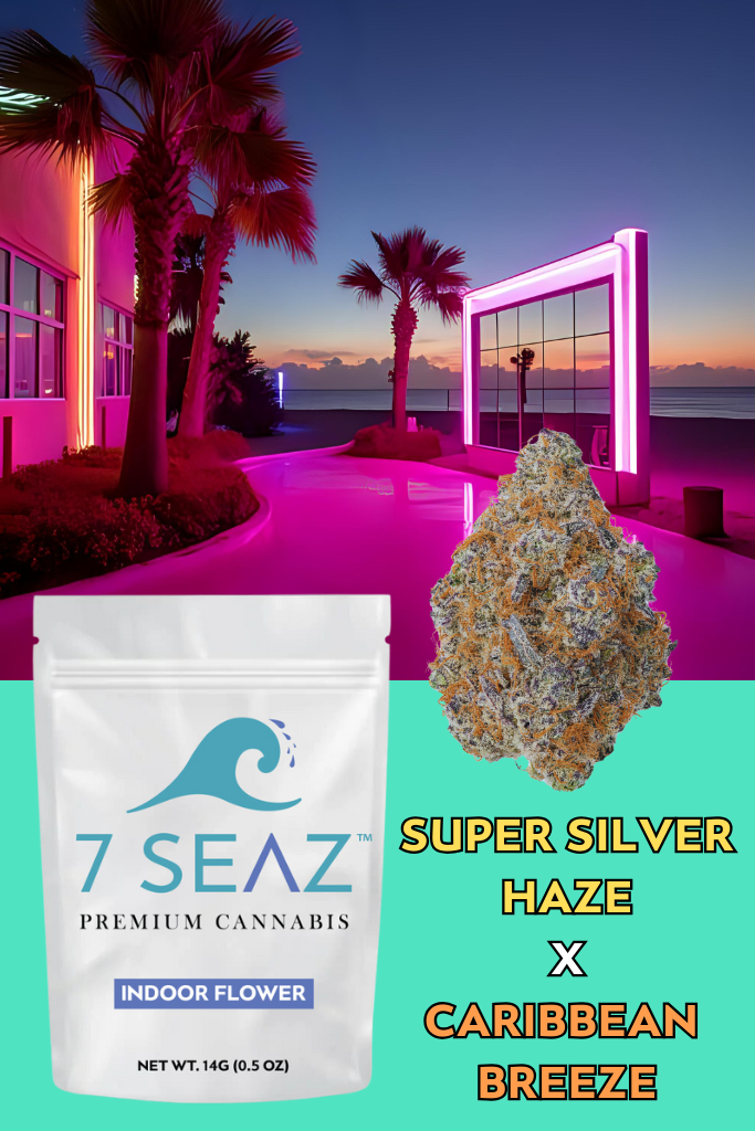 Photograph of product: 7Seaz | Super Silver Haze x Caribbean Breeze | Flower | Hybrid - 14g