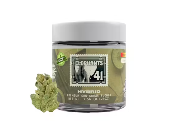 Photograph of product: ELEPHANTS 41(3.5G) [H]