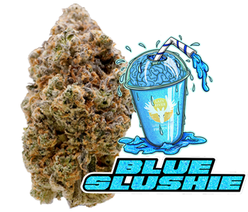 Photograph of product: Blue Slushie Popcorn Buds 3.5g (TAX INCLUDED)