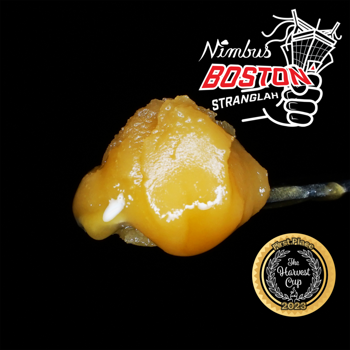Photograph of product: Nimbus Live Dabs- Boston Stranglah