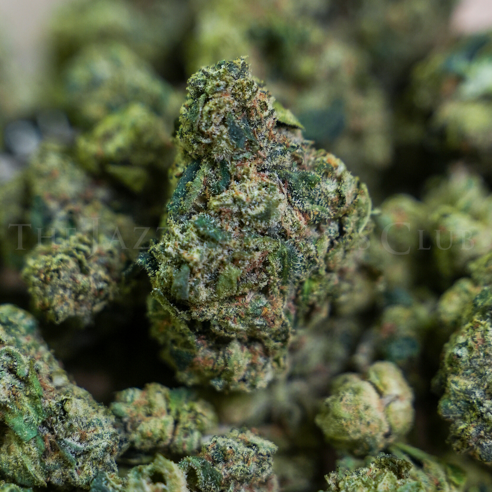 Photograph of product: Blue Dream (Oui'd) - Bulk Flower - 28g